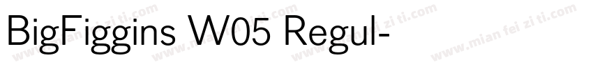 BigFiggins W05 Regul字体转换